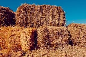 brown sunny hay farm