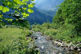 forest river kÃ¶nigssee berchtesgaden bavaria