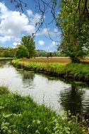 picturesque pond among green nature