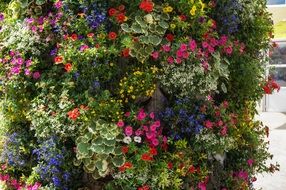 colorful flowers wall
