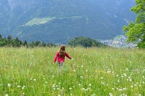 child in tall grass in a meadow in the alps