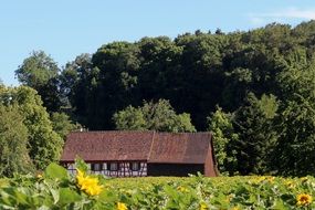 Picture of fachwerkhaus on a field
