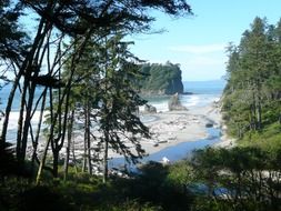 landscape of the coastline of the Pacific Ocean in the Olympic National Park in Washington