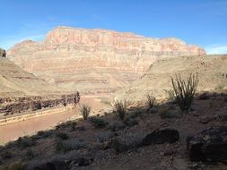 Landscape of grand canyon desert