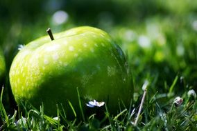 green apple in green grass