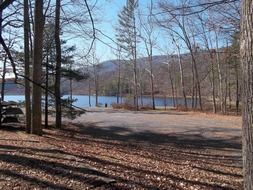 lake in a park in virginia