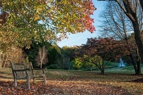 fall nature park