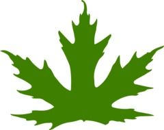 Green maple leaf clipart