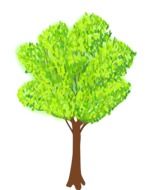 Tree with the green foliage in summer clipart