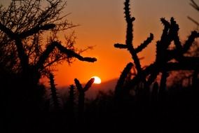 sunrise in the desert landscape