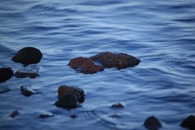 A lot of the rocks in the water