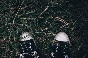 black and white sneakers on the autumn ground