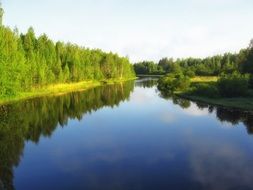 reflection of trees in a river in russia