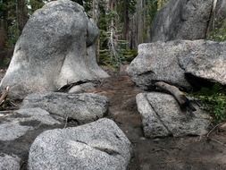 big stones in yosemite national park
