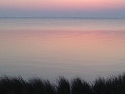 Beautiful landscape with the colorful sunrise on the beach with plants