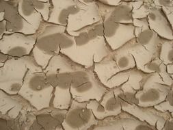 cracked beige soil with wet spots