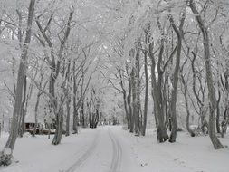 winter snow-covered city Park