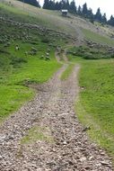 Hiking along the mountain path