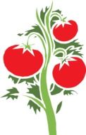 clipart of ripe tomato vegetables
