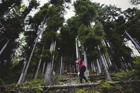 tourists on a narrow path in a forest