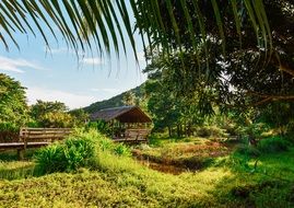 wooden hut in green plants lanscape