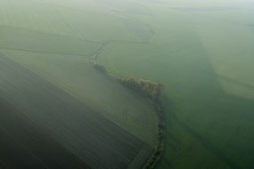 aerial view of green fields in foggy haze