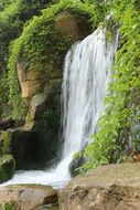 green ivy at rock waterfall