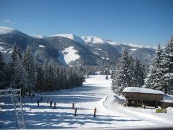 Beautiful snowy landscape of skiing humans among the forest in the mountains