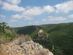 trees on the mountain in israel