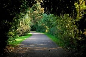 walking path in the park