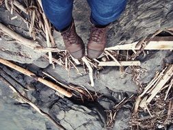 Picture of shoes on a driftwood