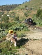 Beautiful landscape of Eritrea