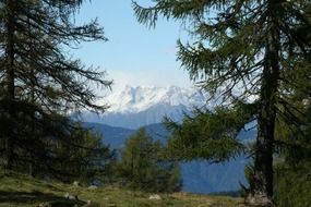 Landscape of the mountains and forest