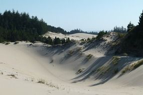 sand dunes in oregon dry landscape