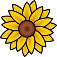 drawing of a summer sunflower