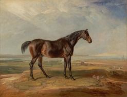 james ward horse painting art