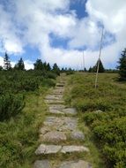 stone trail in the giant mountains