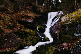 wild waterfall in the autumn forest