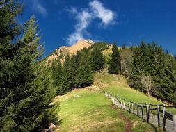 landscape of green mountain in Germany