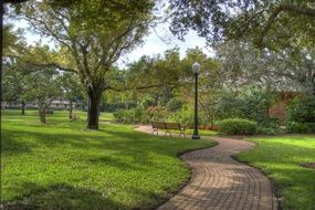 winding paved alley in park