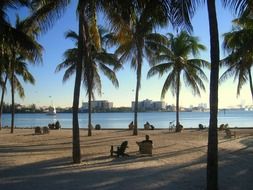 Tropical and sunny beach in Florida