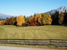 Meadow in autumn