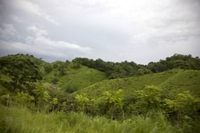 landscape of hills with green grass in panama