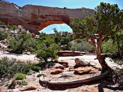 natural stone arches in utah