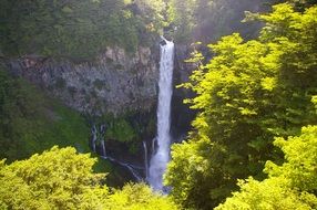 behind the trees is a waterfall