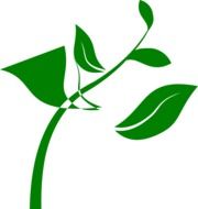 graphic green plant