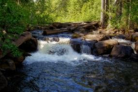 mahood river water forest