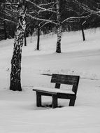wooden bench in the winter park