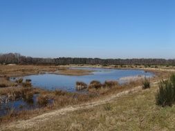 lake in the North Brabant, netherlands