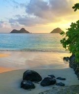 empty beautiful tropical beach in hawaii
